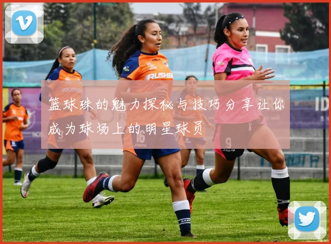 篮球珠的魅力探秘与技巧分享让你成为球场上的明星球员
