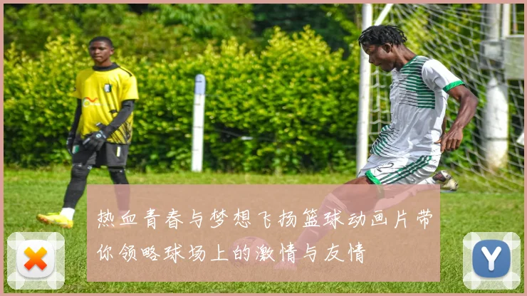 热血青春与梦想飞扬篮球动画片带你领略球场上的激情与友情