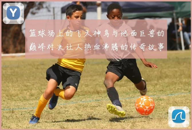 篮球场上的飞天神鸟与地面巨兽的巅峰对决让人热血沸腾的传奇故事