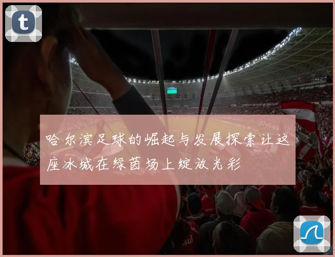 哈尔滨足球的崛起与发展探索让这座冰城在绿茵场上绽放光彩