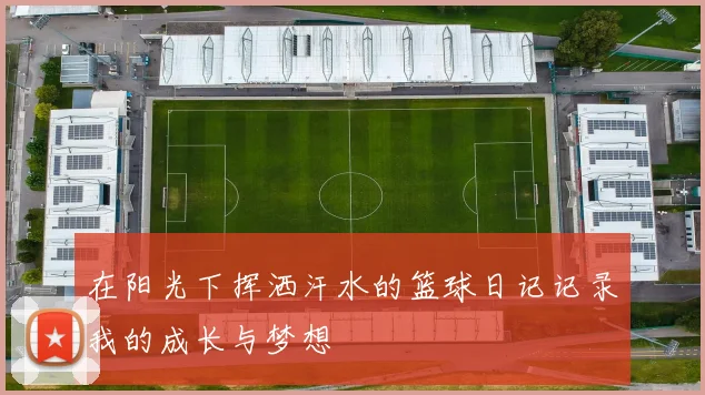 在阳光下挥洒汗水的篮球日记记录我的成长与梦想